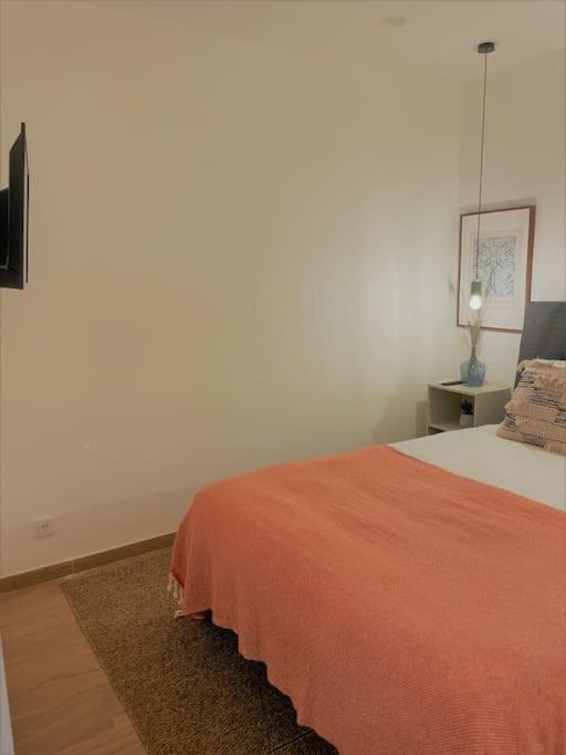 Appartement Charming With Pateo - Rituals&routines